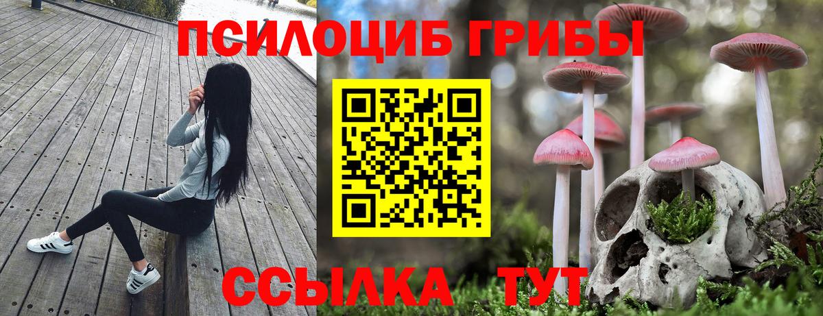 Галлюциногенные грибы MAGIC MUSHROOMS  Галлюциногенные грибы MAGIC MUSHROOMS  Вход с VPN  закладки  Камень-на-Оби 